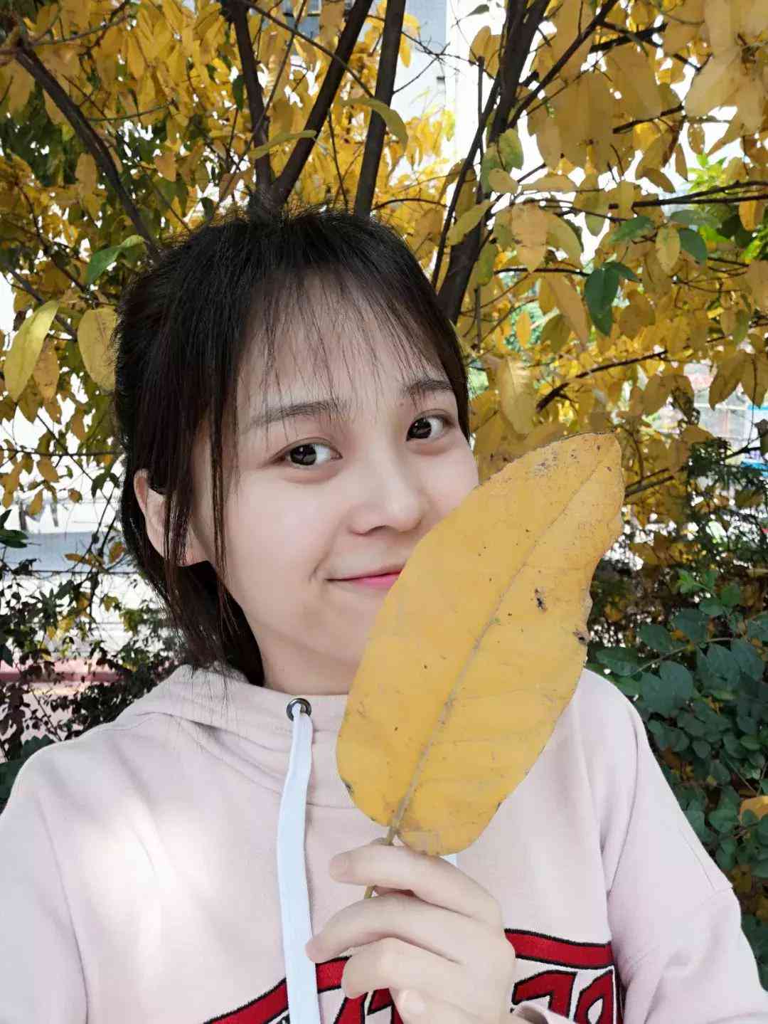 轻颜ai写真的文案-轻颜ai写真的文案怎么写