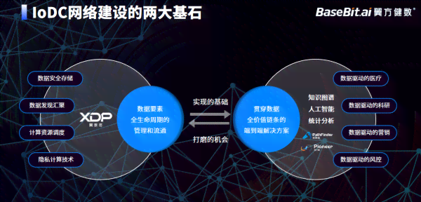 ai生命健报告在哪里看