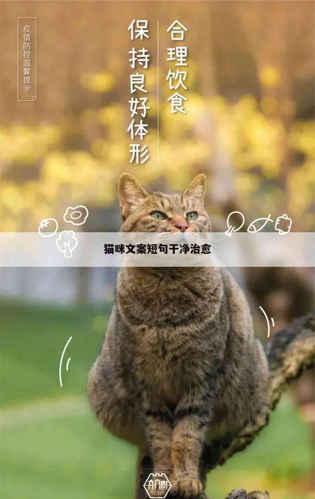 ai绘画发朋友圈文案猫猫