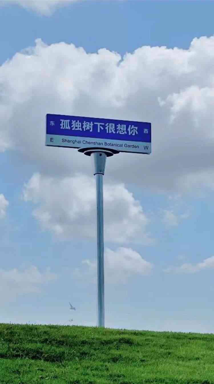 一键情侣婚纱ai写真文案