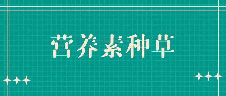 ai小红书文案软件