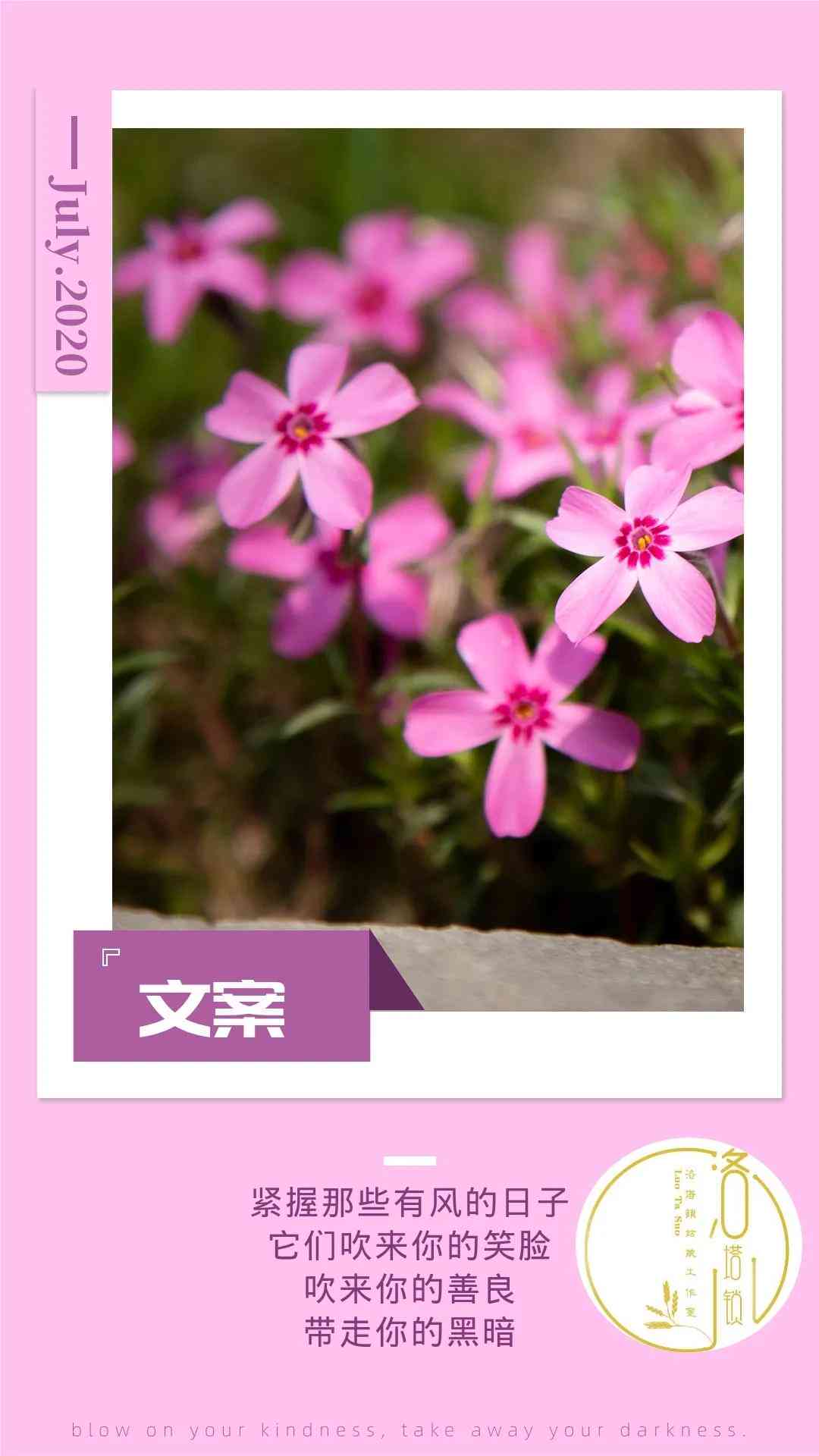 ai小红书文案软件