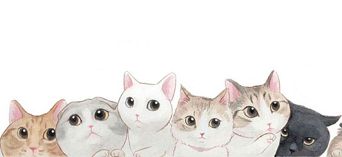 猫咪ai绘画文案简短可爱