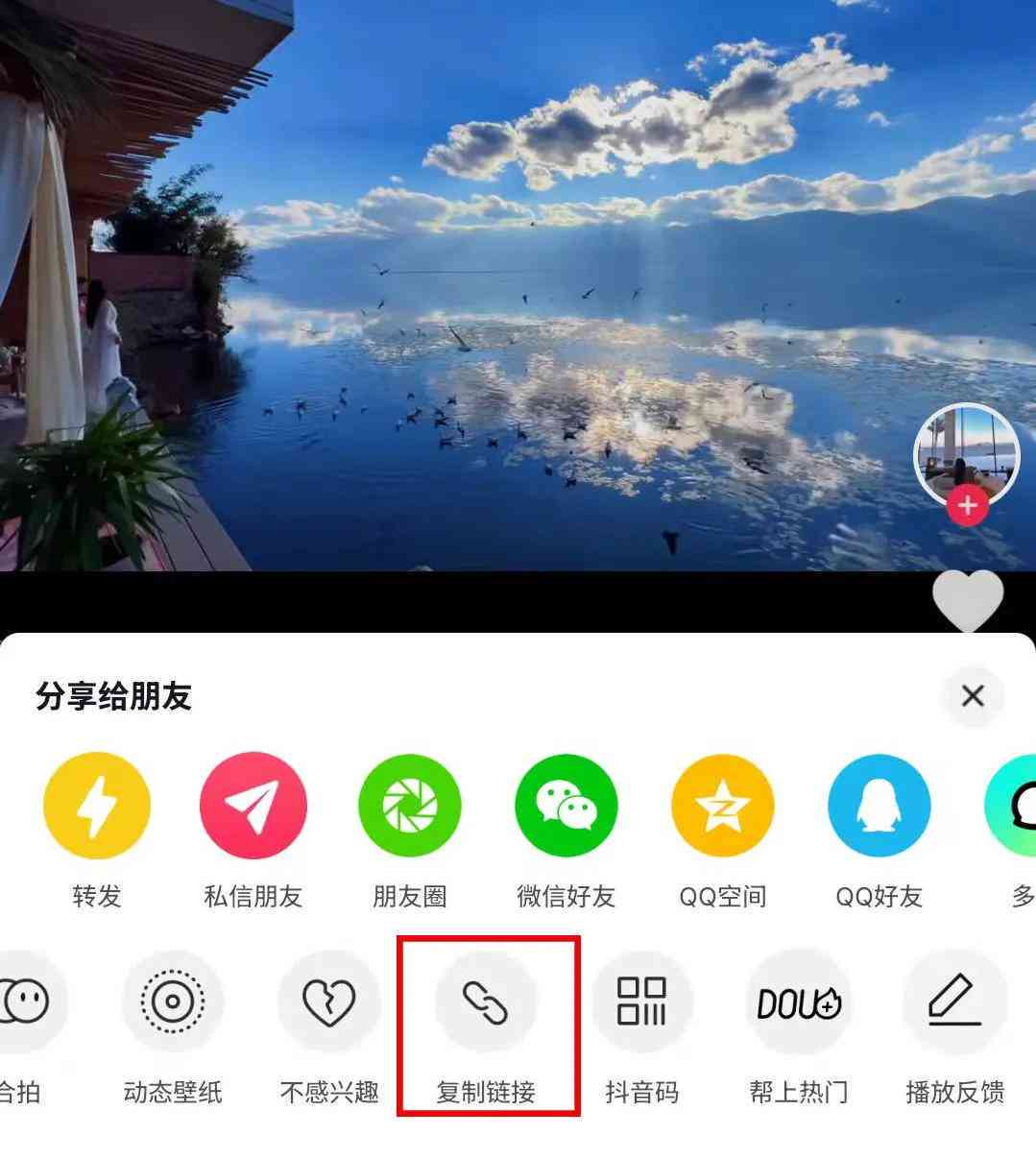 指南ai文案提取工具-指南ai文案提取工具在哪
