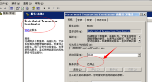 ai显示生成错误报告怎么回事