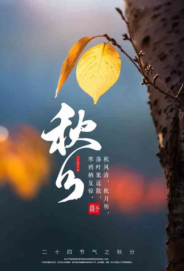 ai山水风景文案怎么写-ai山水风景文案怎么写好看