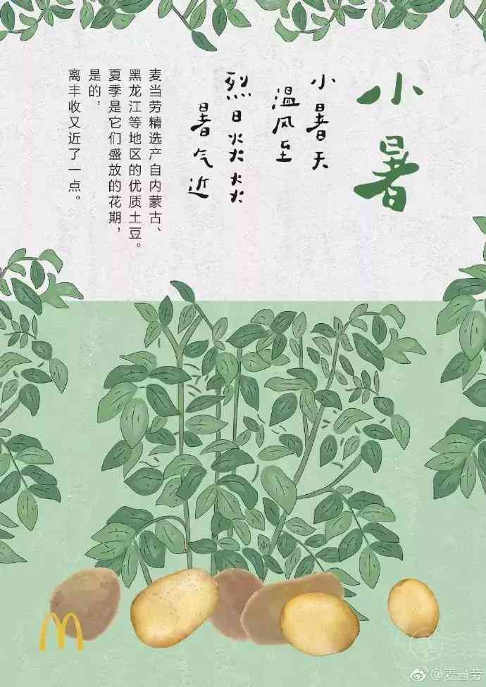 特效ai文案软件免费
