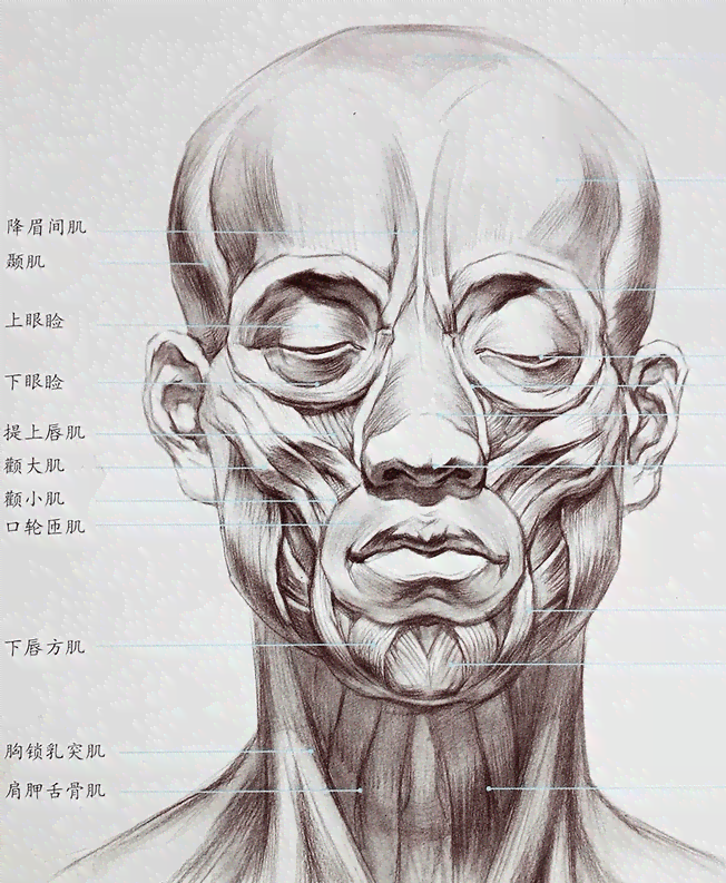 ai绘画固定人脸创作