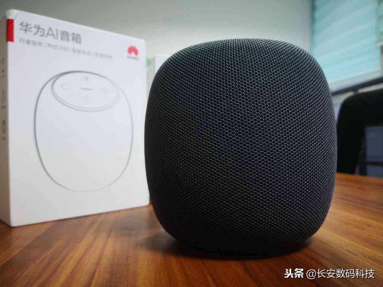 ai语音音响评测报告