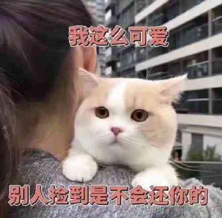 人类幼崽ai文案-人类幼崽ai文案怎么写