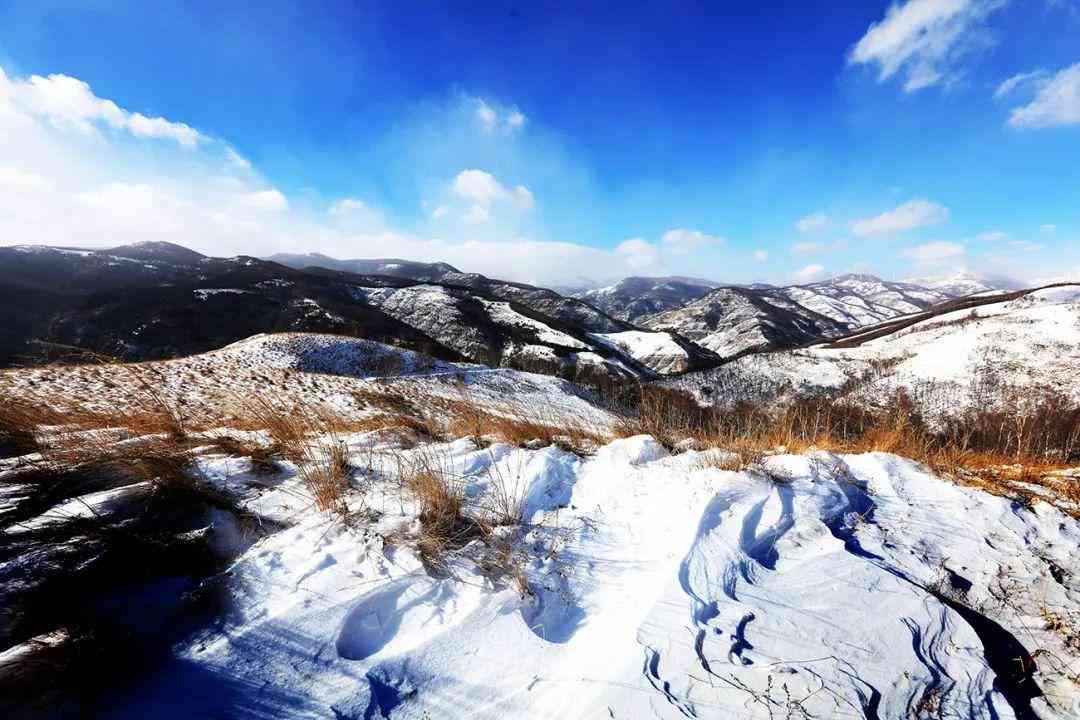 平安的ai云面试报告-平安的ai云面试报告在哪里看