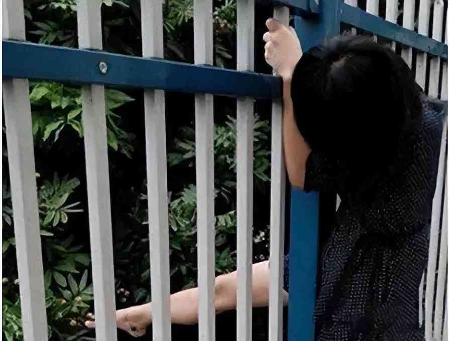 ai生成崩溃报告怎么办啊手机-ai生成崩溃报告怎么办啊手机