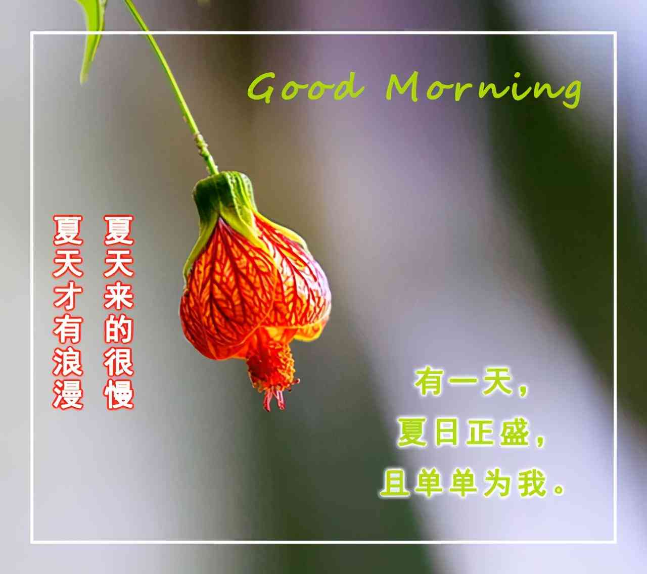 ai搞笑服装文案-服装搞笑句子