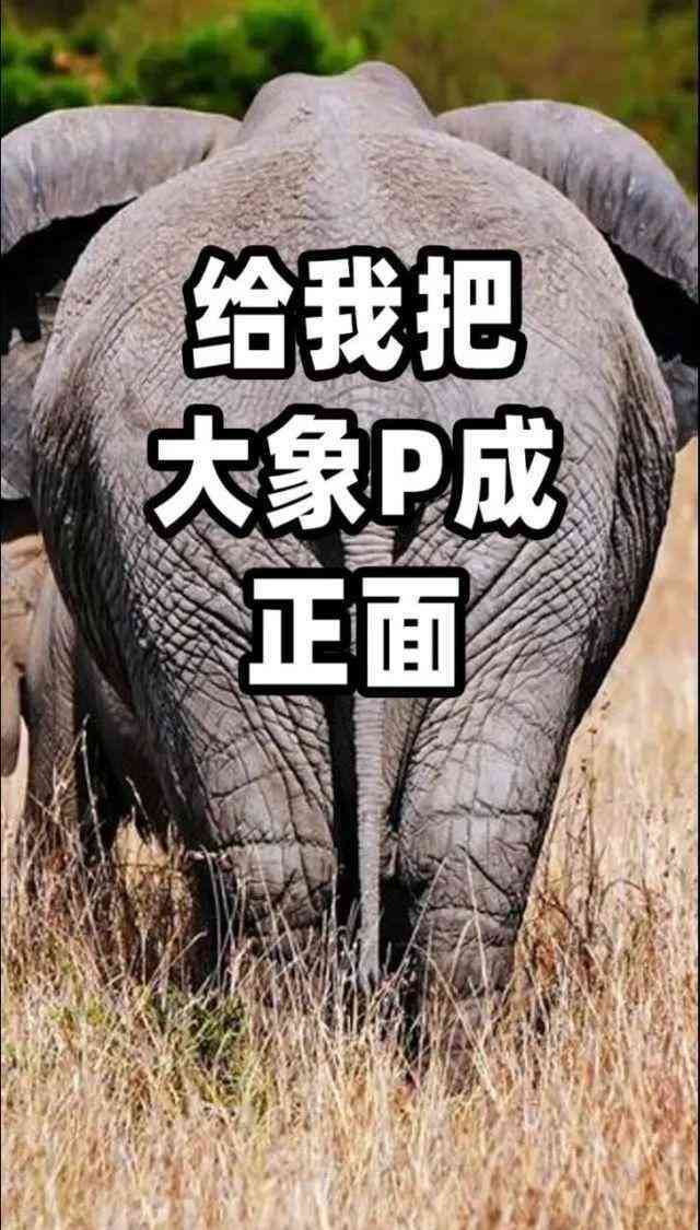 ai创作要提哪些要求呢-ai创作要提哪些要求呢
