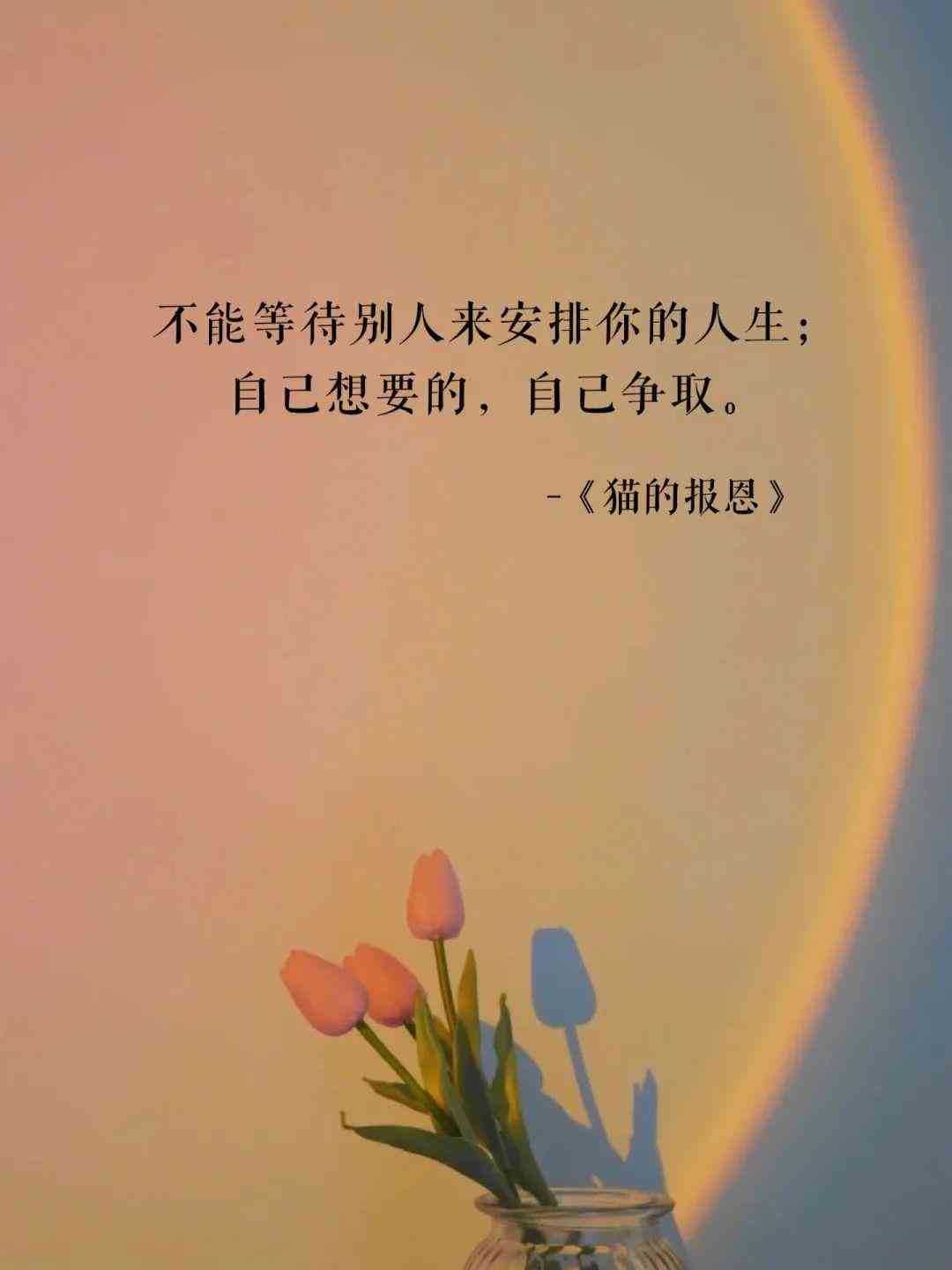 ai抖音文案工具怎么用