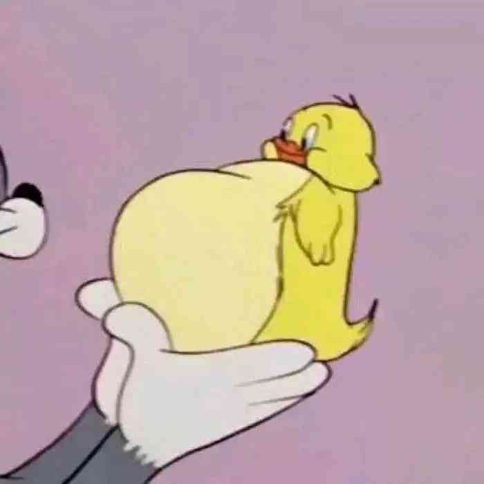 ai绘画猫咪爆款文案大全
