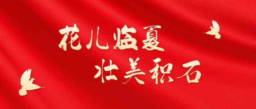 ai招聘失败案例分析报告