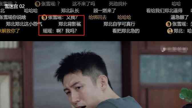 ai雪数据分析报告