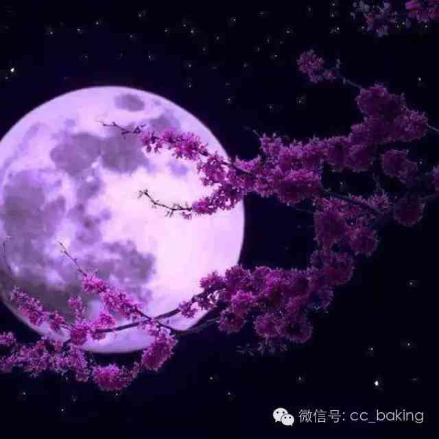 ai绘画月亮美景文案短句