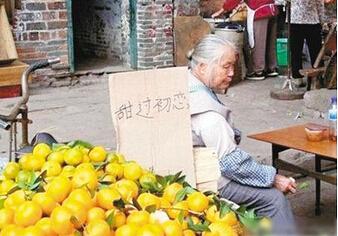 探店文案松鼠ai剧情