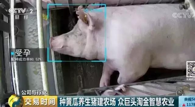 AI创作救世猪