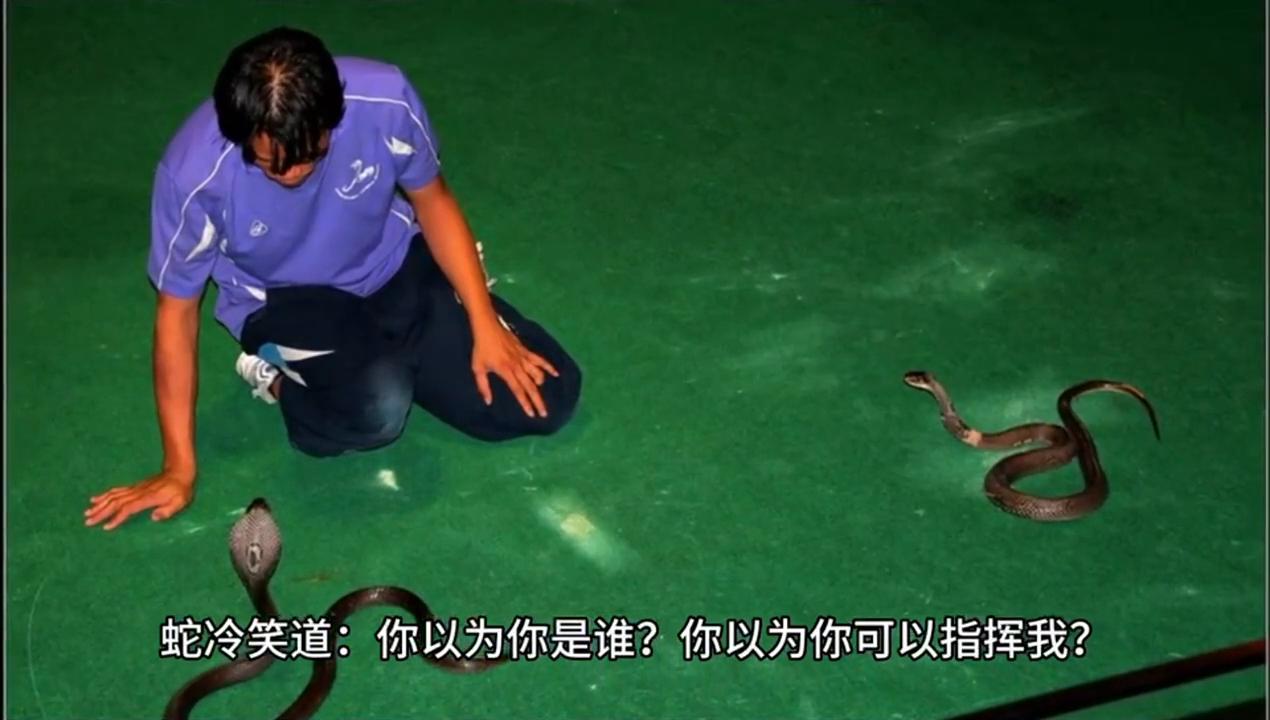 ai创作庭院