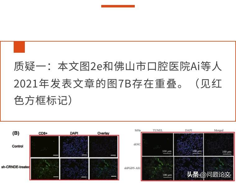 ai创作论文的会被查重吗