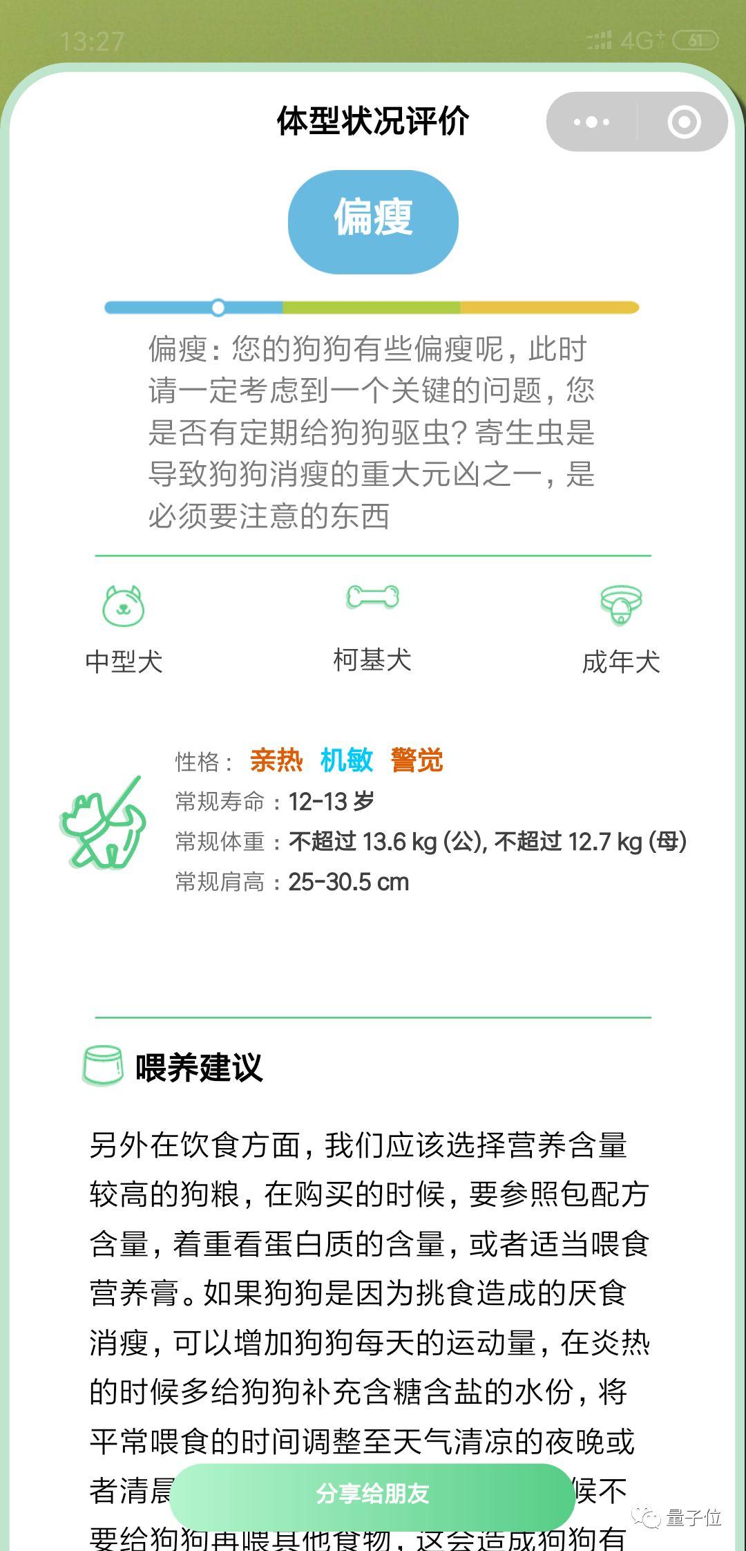 ai体型评估报告从哪里看