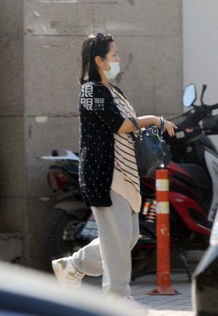 何洁挺大肚怀胎六月外出就餐 体态丰腴无人照顾(组图)