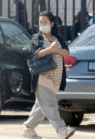 何洁挺大肚怀胎六月外出就餐 体态丰腴无人照顾(组图)