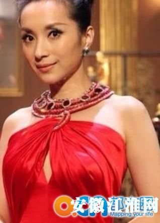 李东生与汤灿关系 汤灿事件最新消息近况 汤灿被执行死刑真相