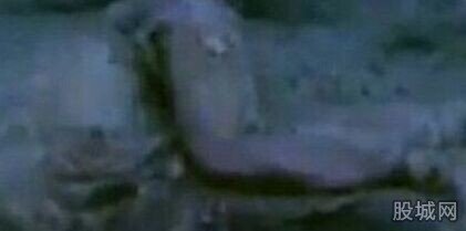 被奸杀女尸爬出老坟