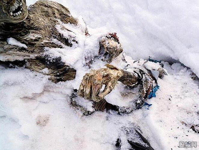 失踪55年登山者遗体挣扎变干尸