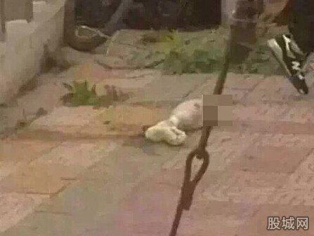 包公湖中捞出女性碎尸