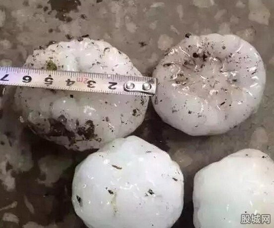 葫芦岛冰雹