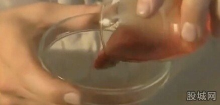 当人的血液遇到蛇的毒液