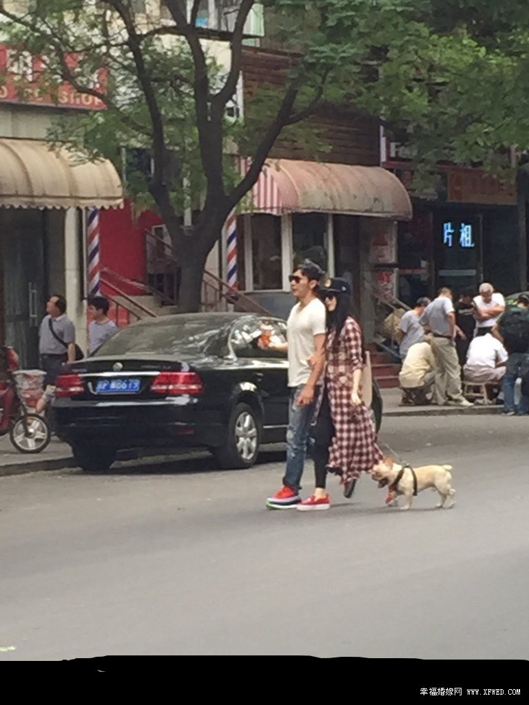 范冰冰李晨养的狗是什么品种及价钱多少?范冰冰变小女人遛狗高清图曝光