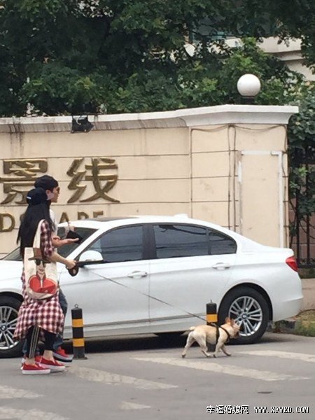 范冰冰李晨养的狗是什么品种及价钱多少?范冰冰变小女人遛狗高清图曝光