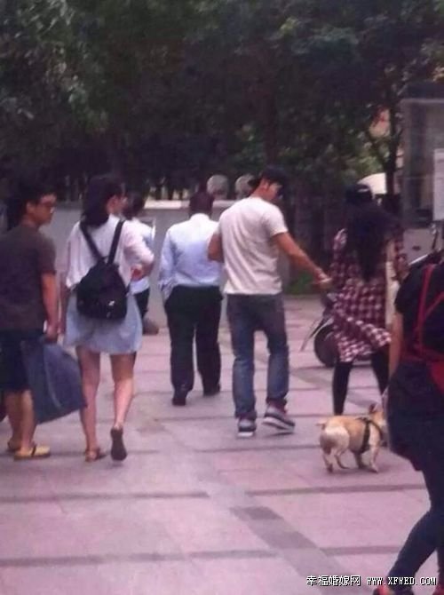 范冰冰李晨住那个小区?范冰冰李晨遛狗图片视频遭热搜