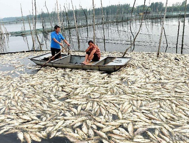 酱油湖