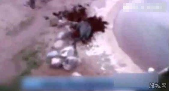 大象身体爆炸粉碎
