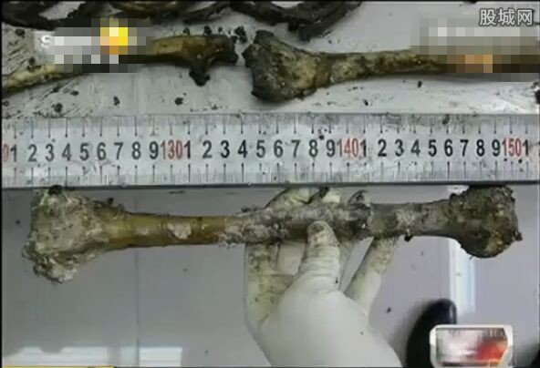 男友与同事强暴女友后杀人抛尸
