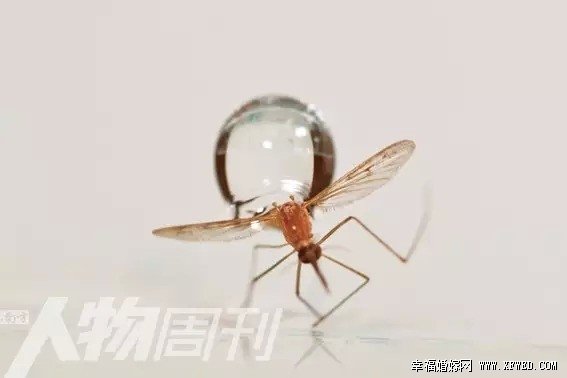 我是演说家胡立德个人资料及家庭背景
