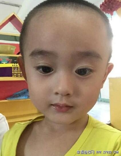 撞脸小骨赵丽颖的小男孩叫什么?男孩父母个人资料及照片遭热搜