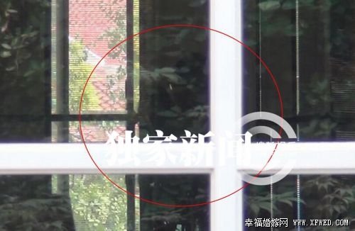 张静初神秘同居男友是谁?揭其个人资料身价及家庭背景