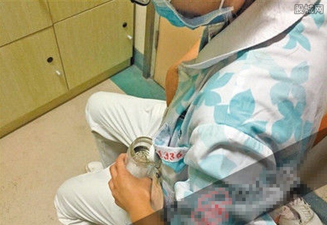 男子被马蜂蜇百处致死