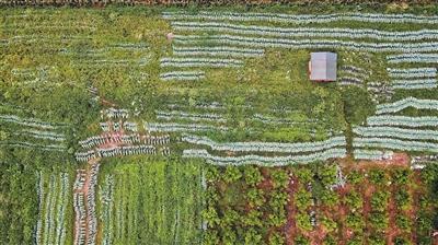 风口后的单车小镇:商铺大量关闭 马路边堆满单车