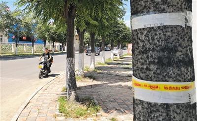 风口后的单车小镇:商铺大量关闭 马路边堆满单车
