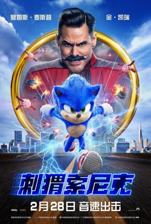 ˳ô£Ϊʲô ˾